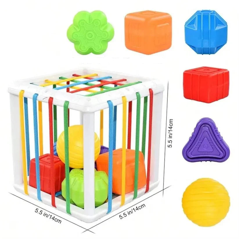MontiBox – Die Montessori Formenbox