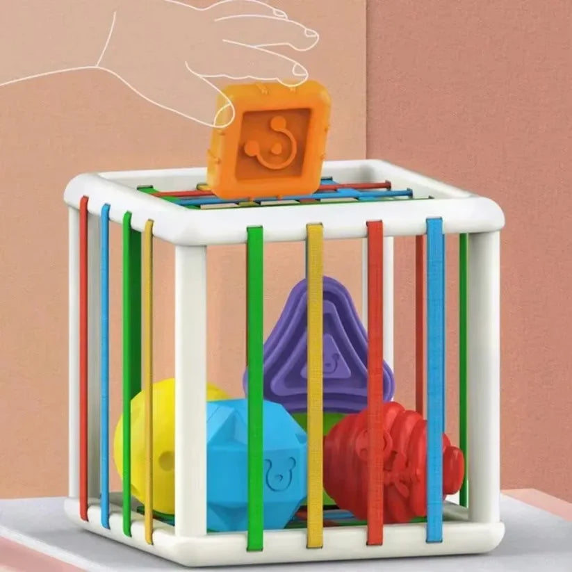 MontiBox – Die Montessori Formenbox
