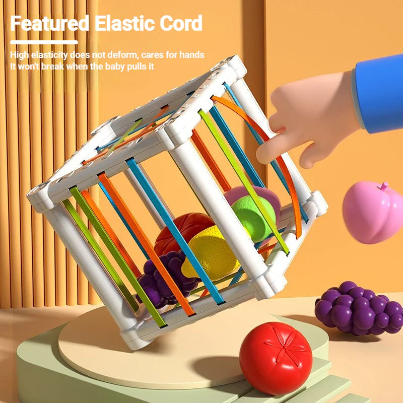 MontiBox – Die Montessori Formenbox