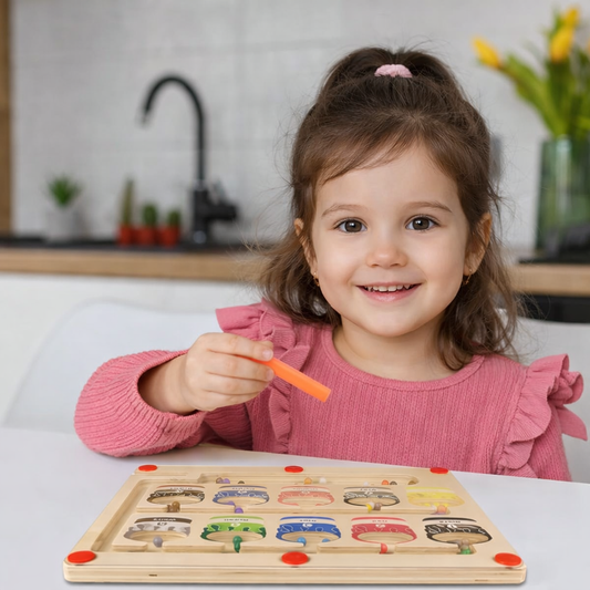 Montessori Magnetlabyrinth